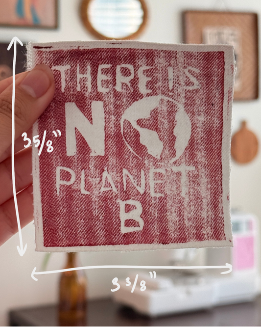 There is No Planet B Patch — White Denim